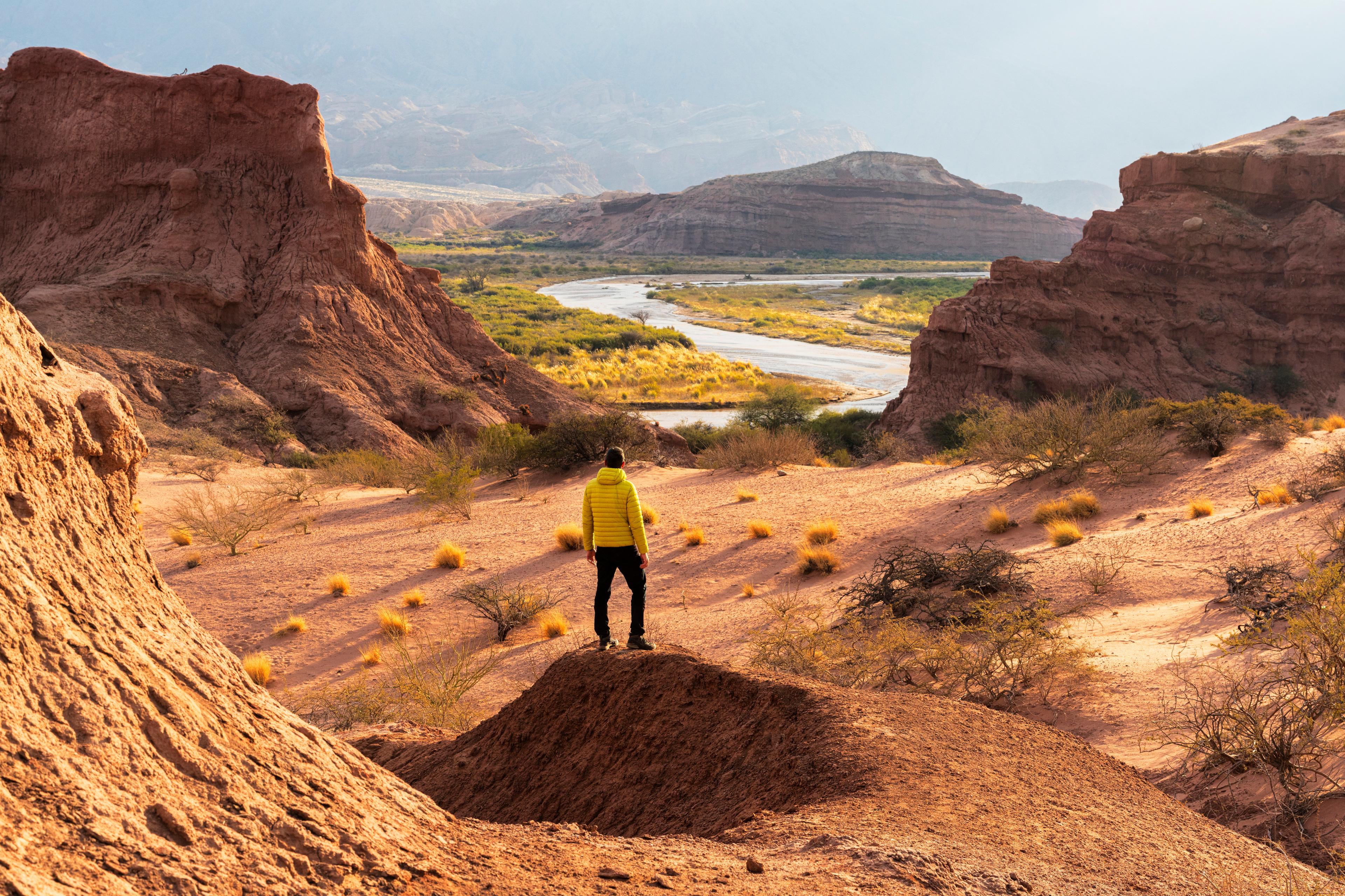 imagen mejores ofertas