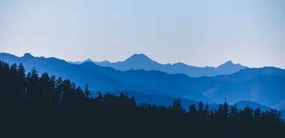 Las&nbsp;mejores&nbsp;ofertas en&nbsp;CyberMonday