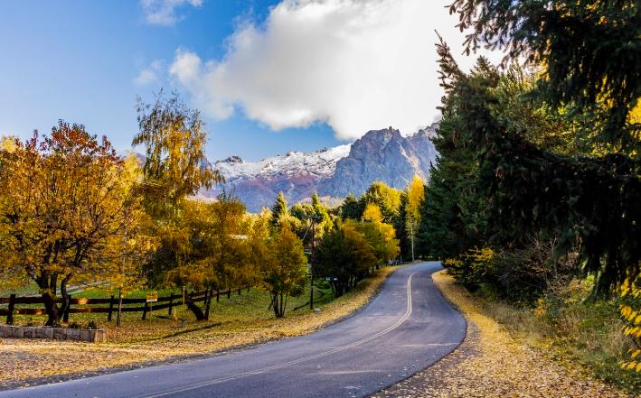 Picture of the author