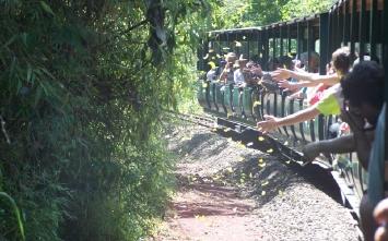 Picture of the author