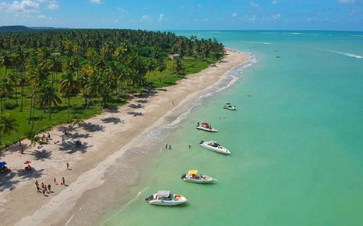 Picture of the author