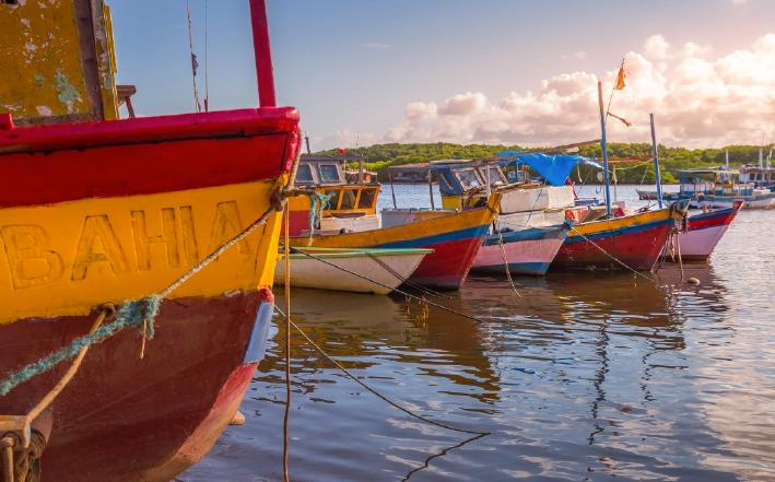 Picture of the author