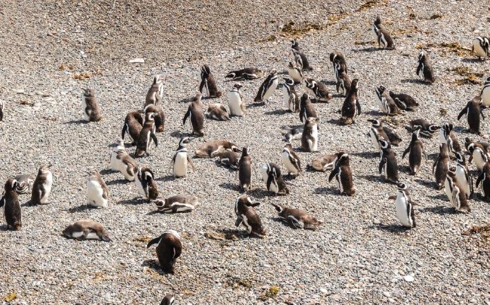 Picture of the author