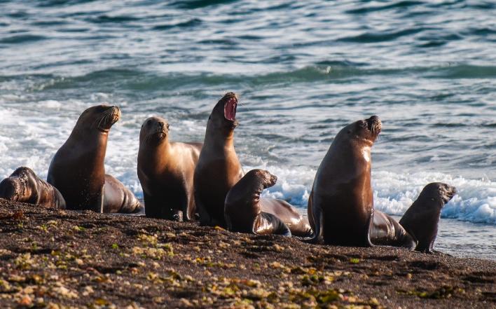 Picture of the author